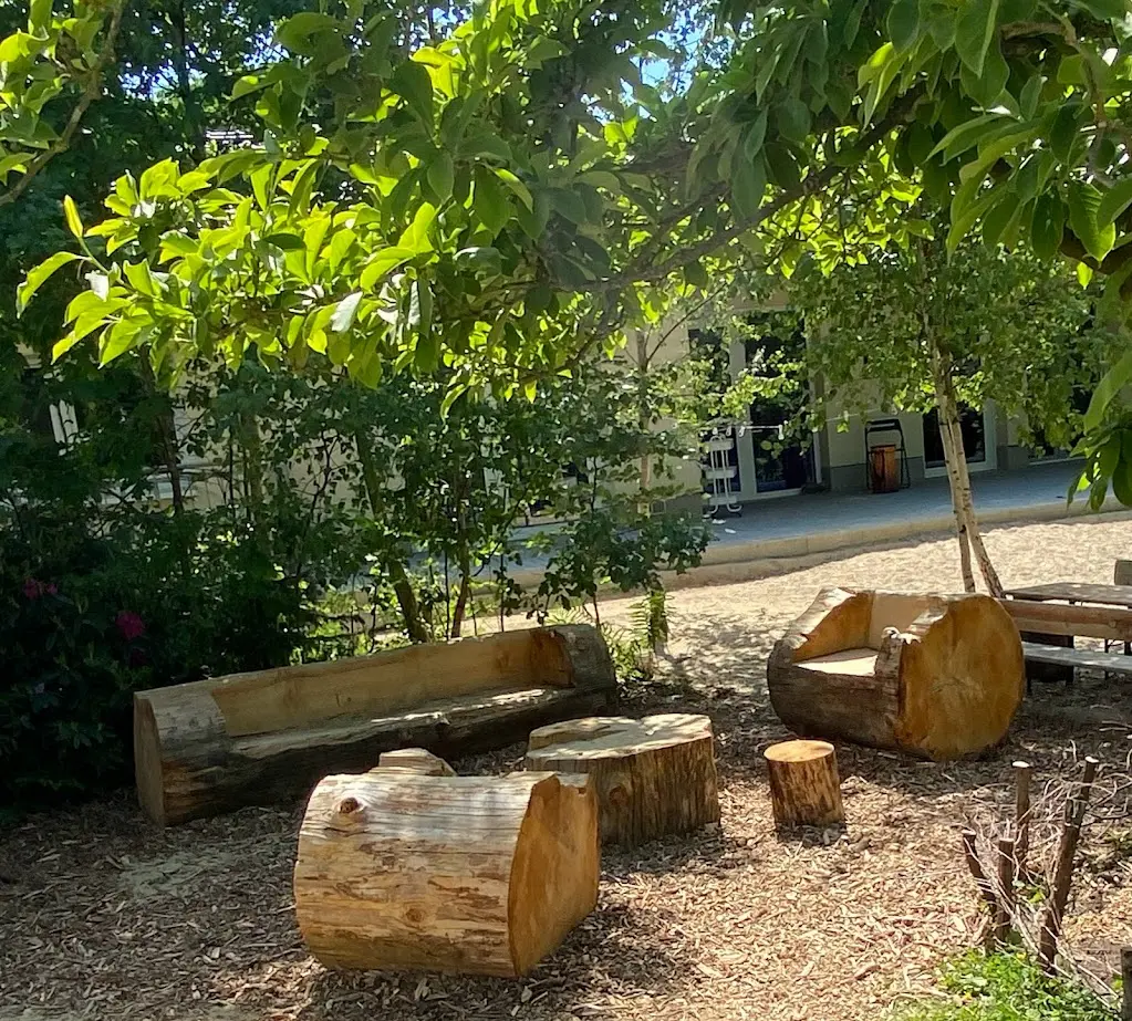 Natürliche und gestaltete Klettermöglichkeiten im Außengelände des DRK Kindergartens Wegberg