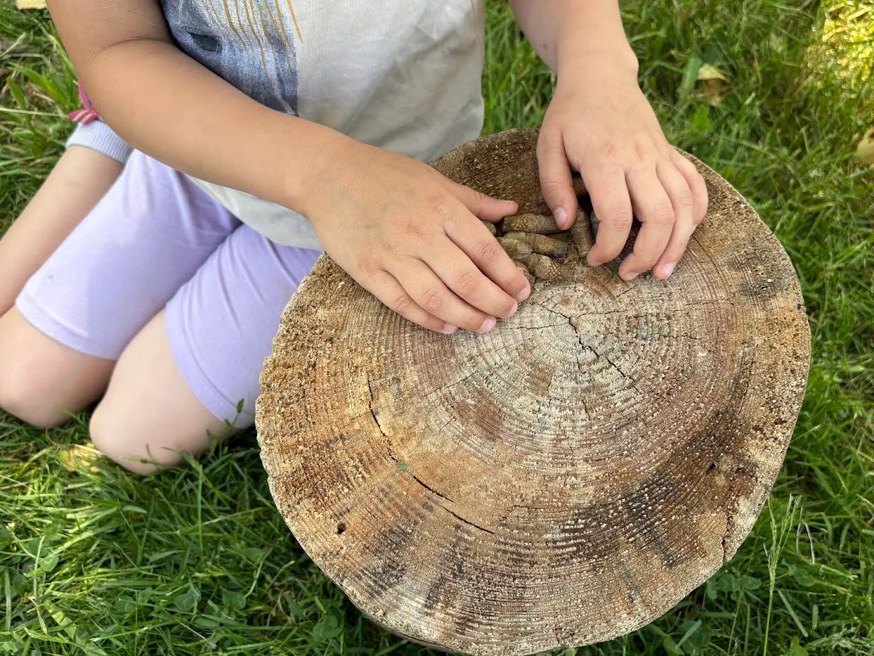 Spielregeln | DRK Kindertagesstätte im Kreis Heinsberg gGmbH